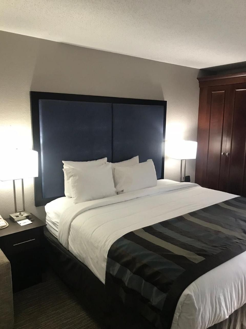 Wingate By Wyndham Charleston Coliseum Hotel North Charleston Buitenkant foto